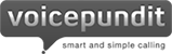 Voicepundit